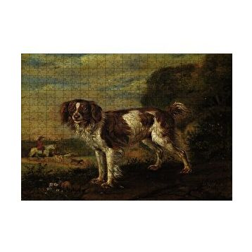 Cakapuzzle Kahverengi Beyaz Çoban Köpeği 255 Parça Puzzle