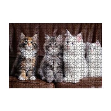 Cakapuzzle Kahverengi Deri Koltukta Sevimli 4 Kedi 120 Parça Ahşap Puzzle