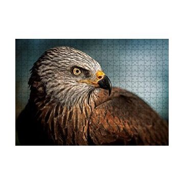Cakapuzzle Kahverengi Doğan Kuşu 120 Parça Puzzle