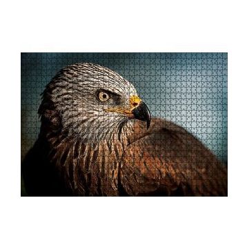 Cakapuzzle Kahverengi Doğan Kuşu 120 Parça Puzzle