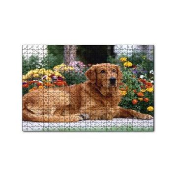 Cakapuzzle Kahverengi Golden Rertriever ve Çiçekler 255 Parça Puzzle