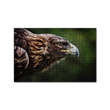 Cakapuzzle Kahverengi Kartal Keskin Bakışlar 255 Parça Puzzle