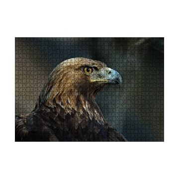 Cakapuzzle Kahverengi Kartal Mavi Gagalı 255 Parça Puzzle