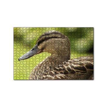Cakapuzzle Kahverengi Ördek Yakın Plan 255 Parça Puzzle
