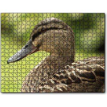 Cakapuzzle Kahverengi Ördek Yakın Plan 255 Parça Puzzle