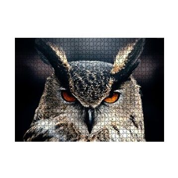 Cakapuzzle Kalın Kaşlı Baykuş Yakın Plan 120 Parça Ahşap Puzzle