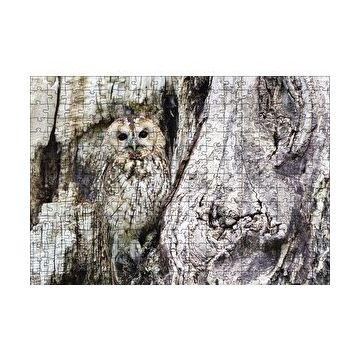 Cakapuzzle Kamufle Baykuş 120 Parça Ahşap Puzzle