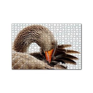 Cakapuzzle Kanadını Temizleyen Kahverengi Kaz 120 Parça Puzzle