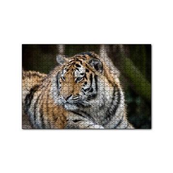 Cakapuzzle Kaplan Hayvanat Bahçesi Yakın Çekim 120 Parça Ahşap Puzzle