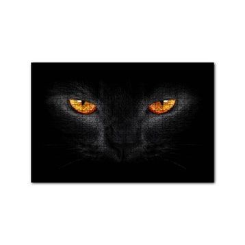 Cakapuzzle Kara Kedi ve Sarı Gözleri 255 Parça Puzzle