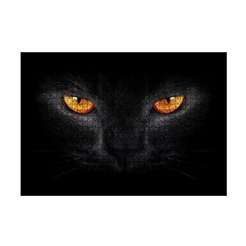 Cakapuzzle Kara Kedi ve Sarı Gözleri 255 Parça Puzzle
