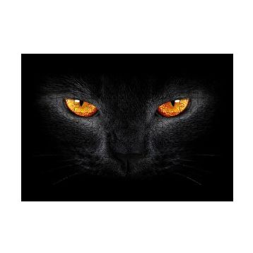 Cakapuzzle Kara Kedi ve Sarı Gözleri 255 Parça Puzzle