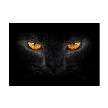 Cakapuzzle Kara Kedi ve Sarı Gözleri 255 Parça Puzzle