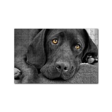 Cakapuzzle Kara Labrador Üzgün Köpek 120 Parça Ahşap Puzzle