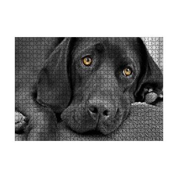 Cakapuzzle Kara Labrador Üzgün Köpek 120 Parça Ahşap Puzzle