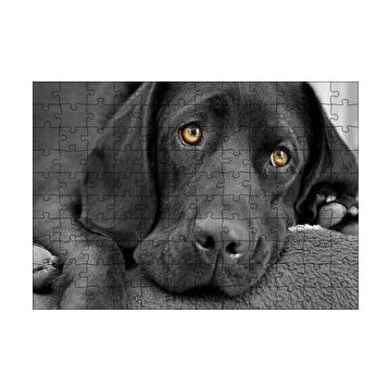 Cakapuzzle Kara Labrador Üzgün Köpek 120 Parça Ahşap Puzzle