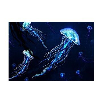 Cakapuzzle Karanlık Sular Neon Denizanaları 120 Parça Ahşap Puzzle