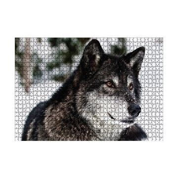 Cakapuzzle Karda Bozkurt 120 Parça Ahşap Puzzle