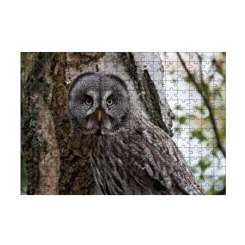 Cakapuzzle Karlı Ormanda Ağacın Önündeki Baykuş 120 Parça Ahşap Puzzle