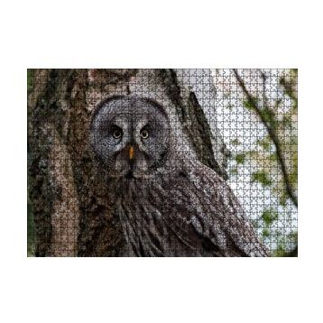 Cakapuzzle Karlı Ormanda Ağacın Önündeki Baykuş 120 Parça Ahşap Puzzle
