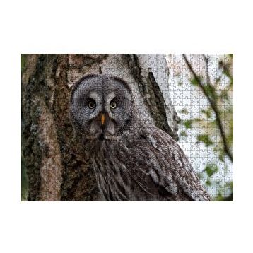 Cakapuzzle Karlı Ormanda Ağacın Önündeki Baykuş 120 Parça Ahşap Puzzle