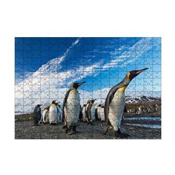 Cakapuzzle Karlı Topraklar ve Penguenler 120 Parça Ahşap Puzzle