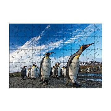 Cakapuzzle Karlı Topraklar ve Penguenler 120 Parça Ahşap Puzzle