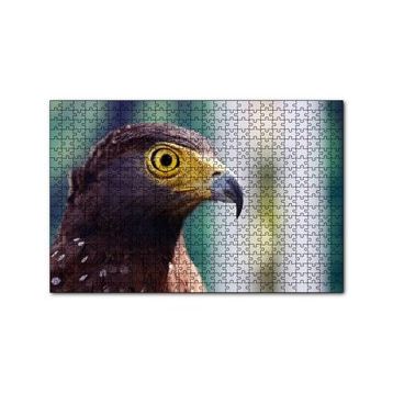 Cakapuzzle Kartal Yakın Plan 255 Parça Puzzle