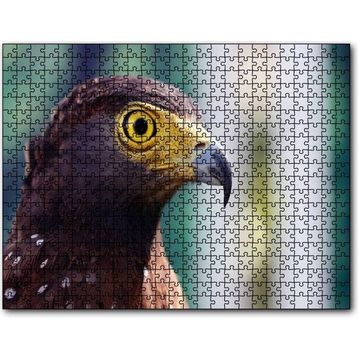 Cakapuzzle Kartal Yakın Plan 255 Parça Puzzle