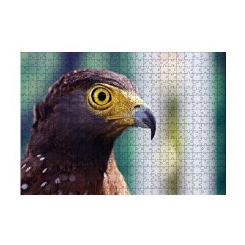 Cakapuzzle Kartal Yakın Plan 255 Parça Puzzle