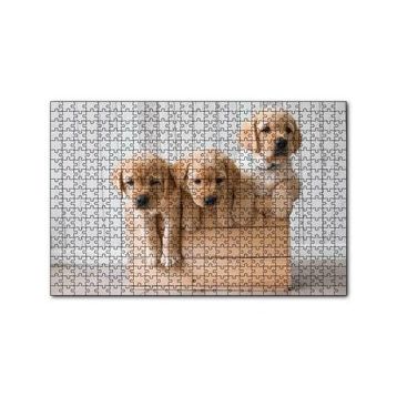 Cakapuzzle Kasada Golden Yavruları 255 Parça Puzzle