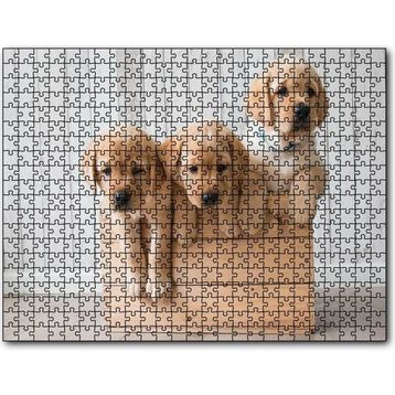 Cakapuzzle Kasada Golden Yavruları 255 Parça Puzzle