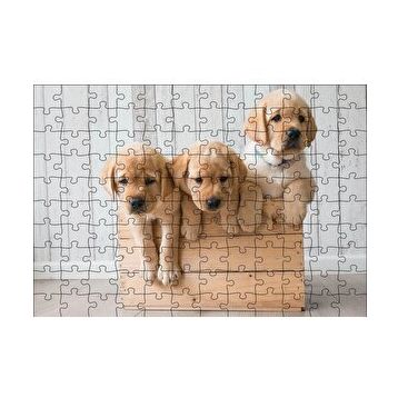 Cakapuzzle Kasada Golden Yavruları 255 Parça Puzzle