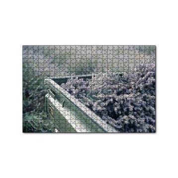Cakapuzzle Kasada Lavantalar 255 Parça Puzzle
