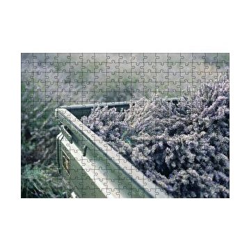 Cakapuzzle Kasada Lavantalar 255 Parça Puzzle