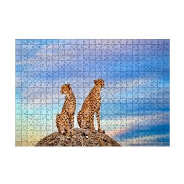 Cakapuzzle Kayalığın Üzerindeki Çita Çifti 255 Parça Puzzle