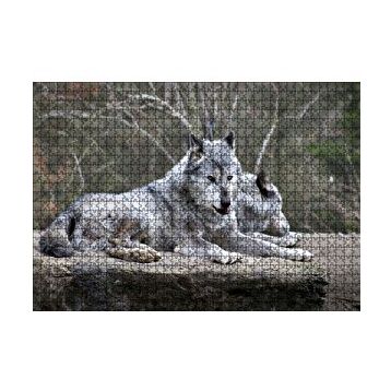 Cakapuzzle Kayalık Üzerinde Dinlenen Gri Kurt Çifti 120 Parça Ahşap Puzzle