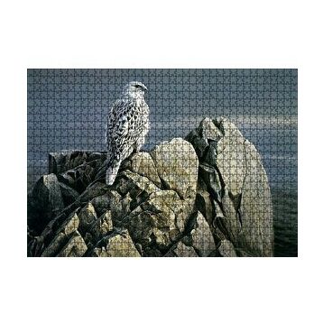 Cakapuzzle Kayalıklar Üzerindeki Akdoğan ve Deniz 255 Parça Puzzle