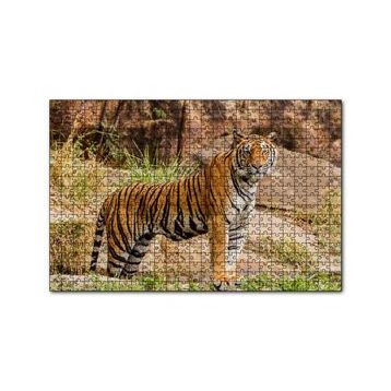 Cakapuzzle Kayalıklar ve Bengal Kaplanı 120 Parça Ahşap Puzzle