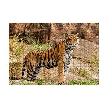 Cakapuzzle Kayalıklar ve Bengal Kaplanı 120 Parça Ahşap Puzzle