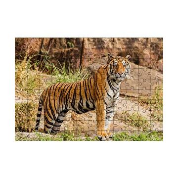 Cakapuzzle Kayalıklar ve Bengal Kaplanı 120 Parça Ahşap Puzzle