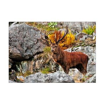 Cakapuzzle Kayalıklar ve Boynuzlu Kahverengi Geyik 255 Parça Puzzle