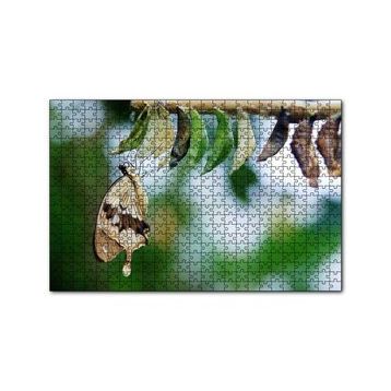 Cakapuzzle Kelebek Kozası ve Renkli Kelebek Görseli 255 Parça Puzzle