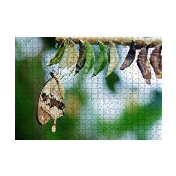 Cakapuzzle Kelebek Kozası ve Renkli Kelebek Görseli 255 Parça Puzzle