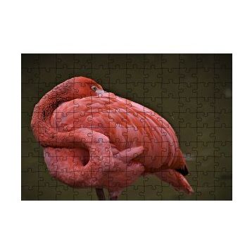 Cakapuzzle Kendine Sarılan Flamingo 120 Parça Ahşap Puzzle