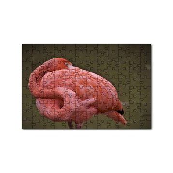 Cakapuzzle Kendine Sarınarak Dinlenen Flamingo 120 Parça Ahşap Puzzle