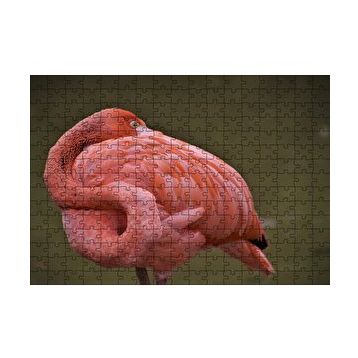 Cakapuzzle Kendine Sarınarak Dinlenen Flamingo 120 Parça Ahşap Puzzle