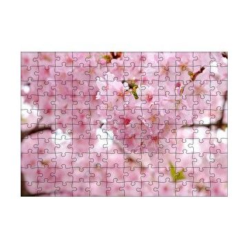Cakapuzzle Kiraz Çiçeği Görseli 120 Parça Puzzle