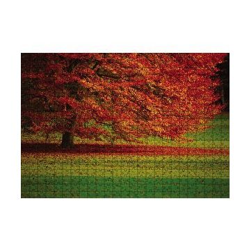 Cakapuzzle Kırmızı Ağaç Sonbahar 120 Parça Ahşap Puzzle