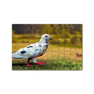 Cakapuzzle Kırmızı Ayaklı Damalı Beyaz Güvercin 120 Parça Ahşap Puzzle